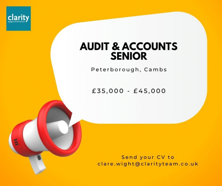 Audit & Accounts Senior