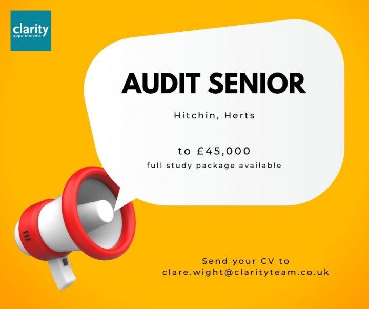 Audit Senior